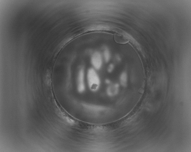 X0000073460945200607281243