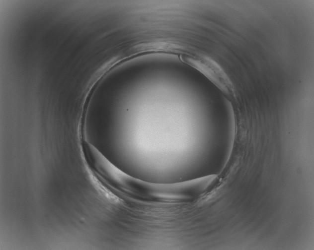 X0000073460946200607281243