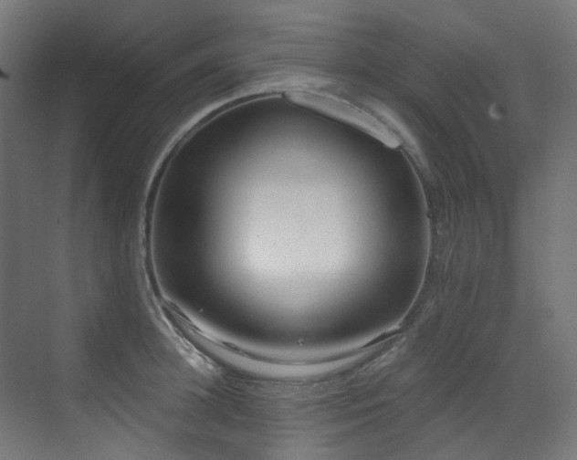 X0000073460948200607281243