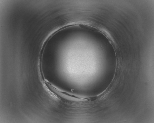 X0000073460952200607281244