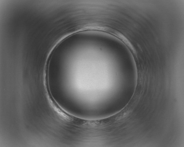 X0000073460955200607281244