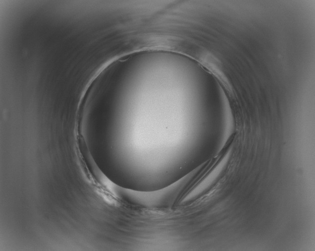 X0000073460956200607281244