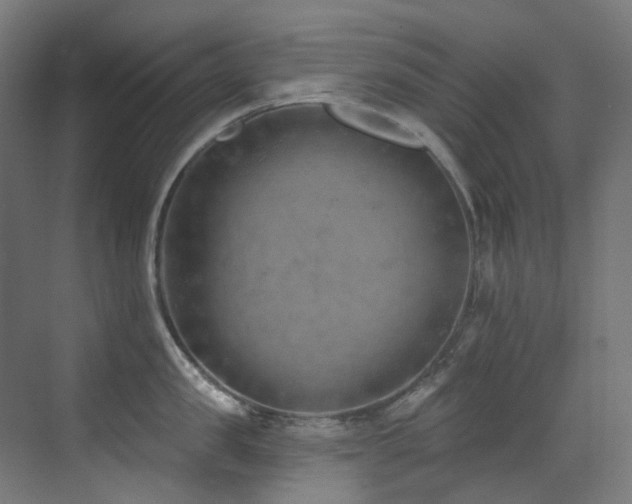 X0000073460957200607281244