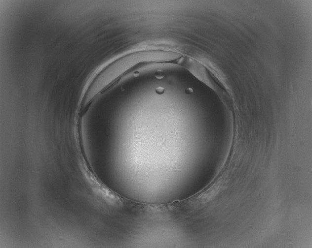 X0000073460960200607281244