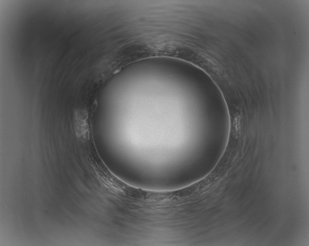 X0000073460963200607281243