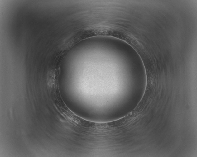 X0000073460964200607281243