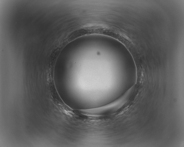 X0000073460965200607281243