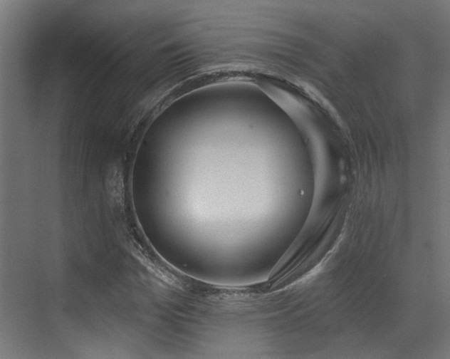 X0000073460969200607281243