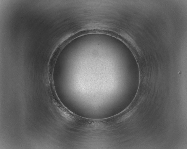 X0000073460974200607281243