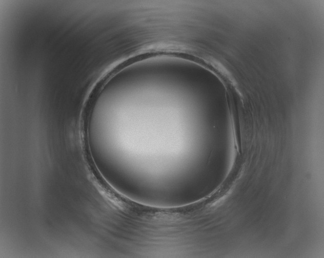 X0000073460981200607281242