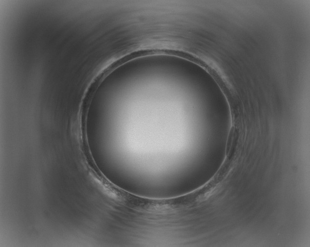 X0000073460982200607281242