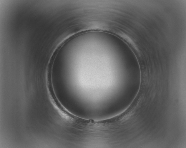 X0000073460991200607281242