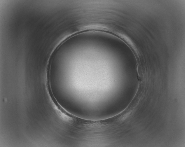 X0000073460999200607281242