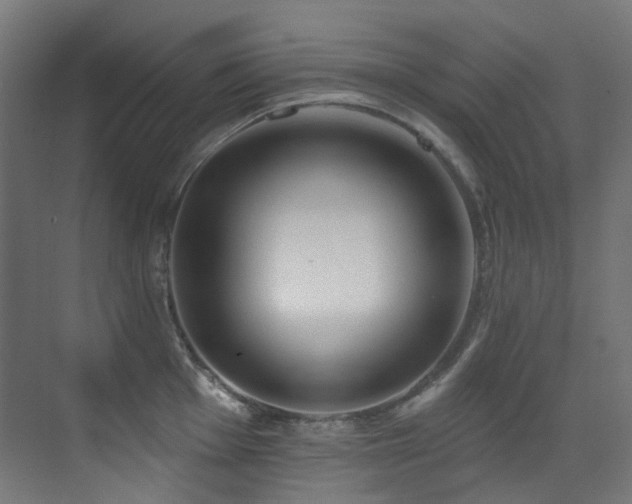 X0000073461001200607281242