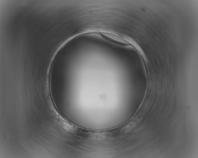 X0000073461004200607281242