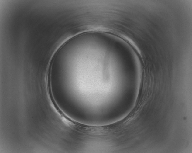 X0000073461007200607281242