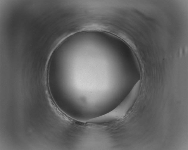 X0000073461008200607281242