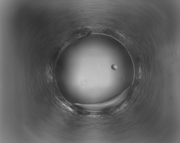 X0000073461010200607281241