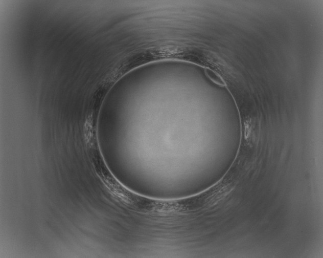X0000073461011200607281241