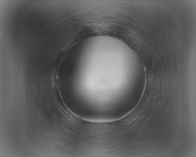 X0000073461012200607281241