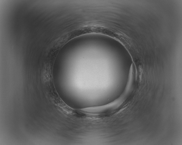 X0000073461014200607281241