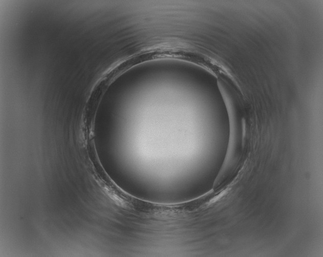 X0000073461018200607281241