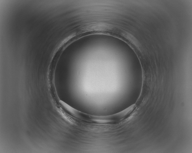 X0000073461026200607281242
