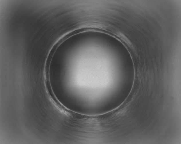 X0000073461028200607281242