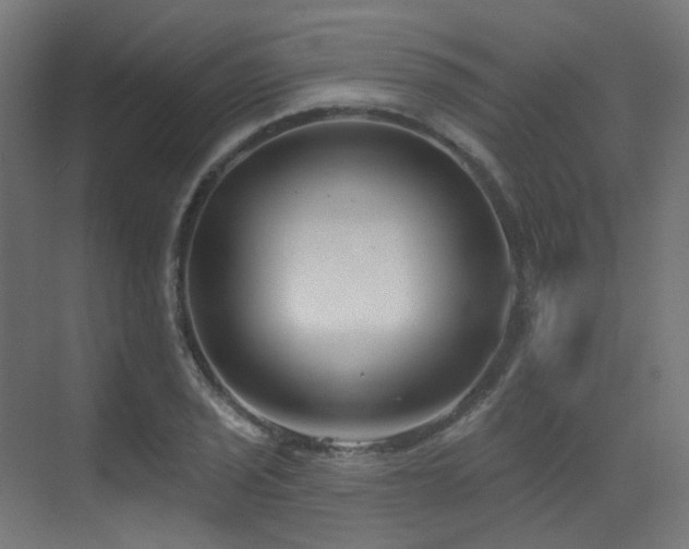 X0000073461029200607281242