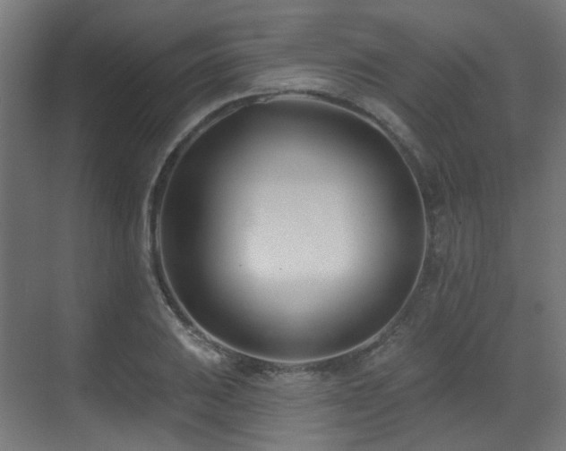 X0000073461031200607281242