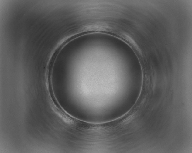 X0000073461035200607281242