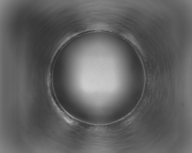 X0000073461040200607281242