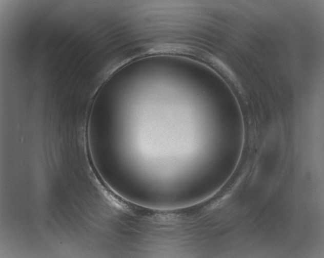 X0000073461041200607281242