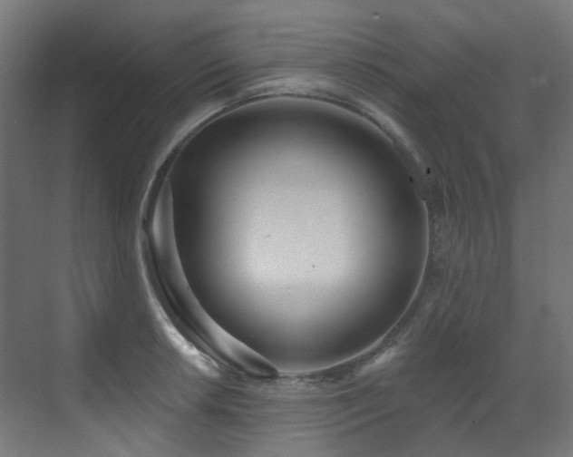 X0000073461042200607281242