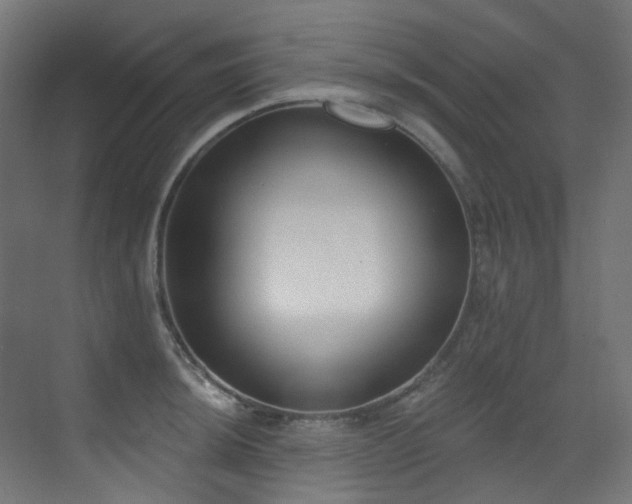 X0000073461044200607281242