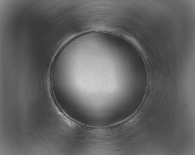 X0000073461048200607281242