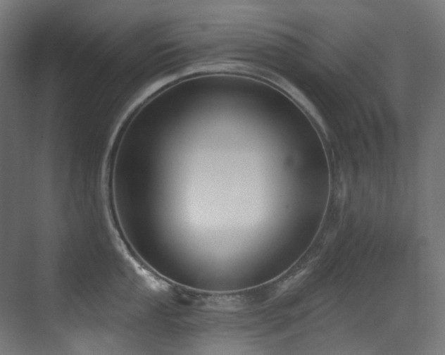 X0000073461053200607281242