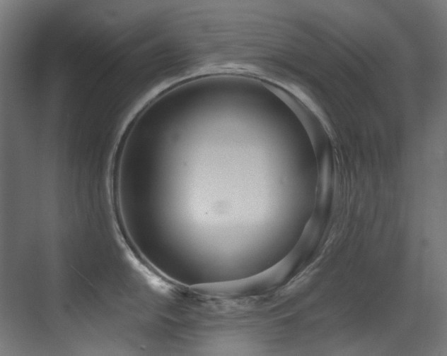 X0000073461054200607281242
