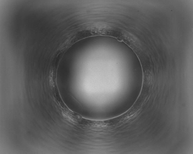 X0000073461060200607281241