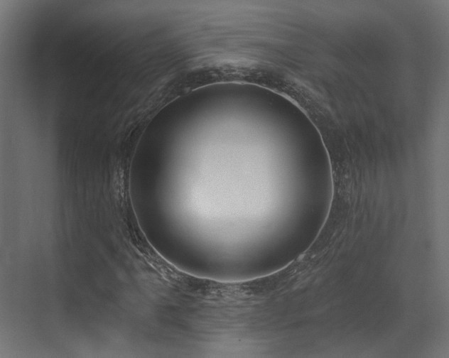X0000073461061200607281241