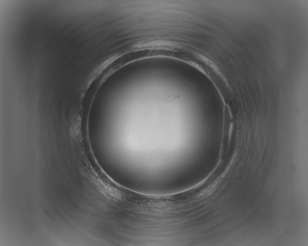 X0000073461066200607281241