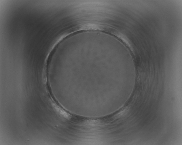 X0000073461075200607281241
