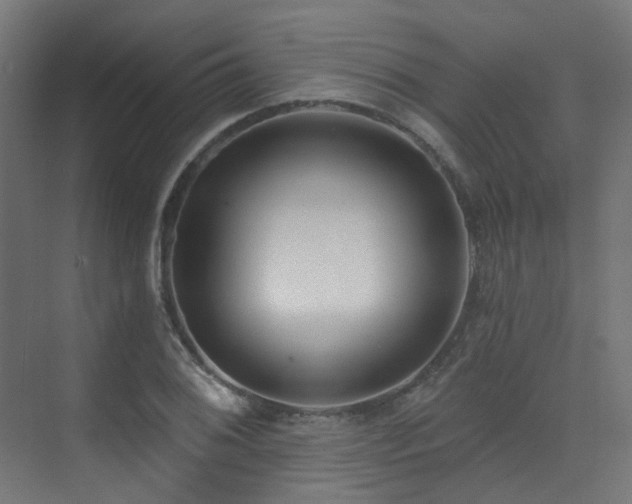 X0000073461076200607281241