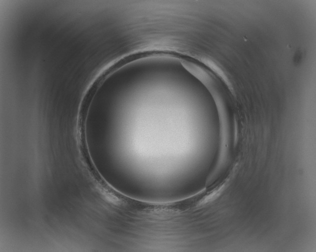X0000073461077200607281241