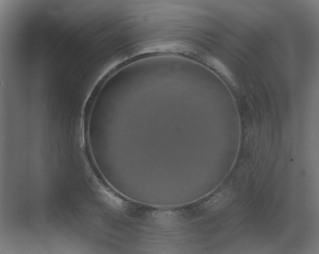 X0000073461079200607281241