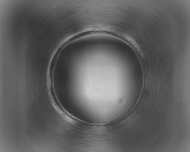 X0000073461080200607281241