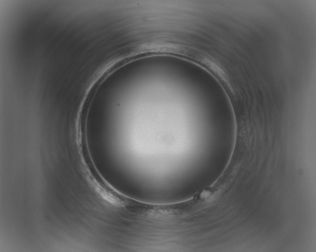X0000073461082200607281241