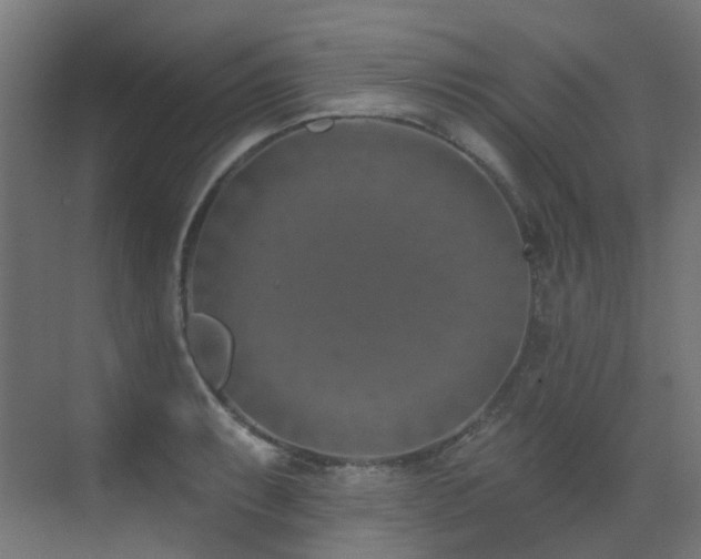 X0000073461087200607281241