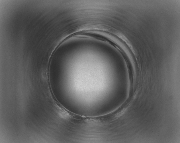 X0000073461089200607281241