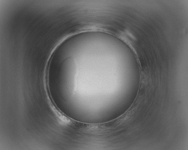 X0000073461098200607281241